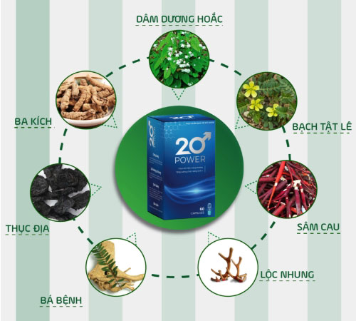 20-Power-thành-phần