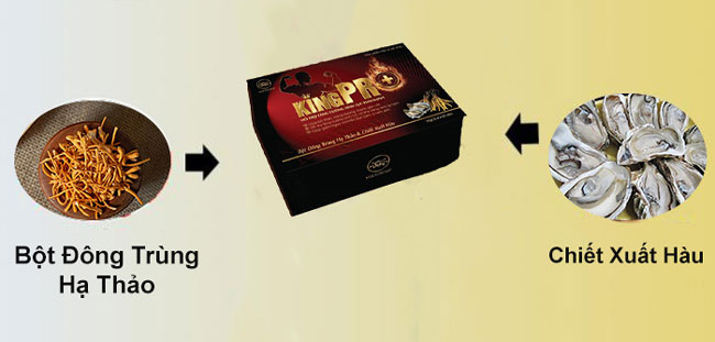 king-pro-thanh-phan-2