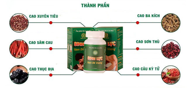 sinh-luc-nam-de-vuong-thanh-phan-1