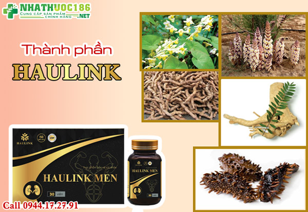 thành phần haulink men