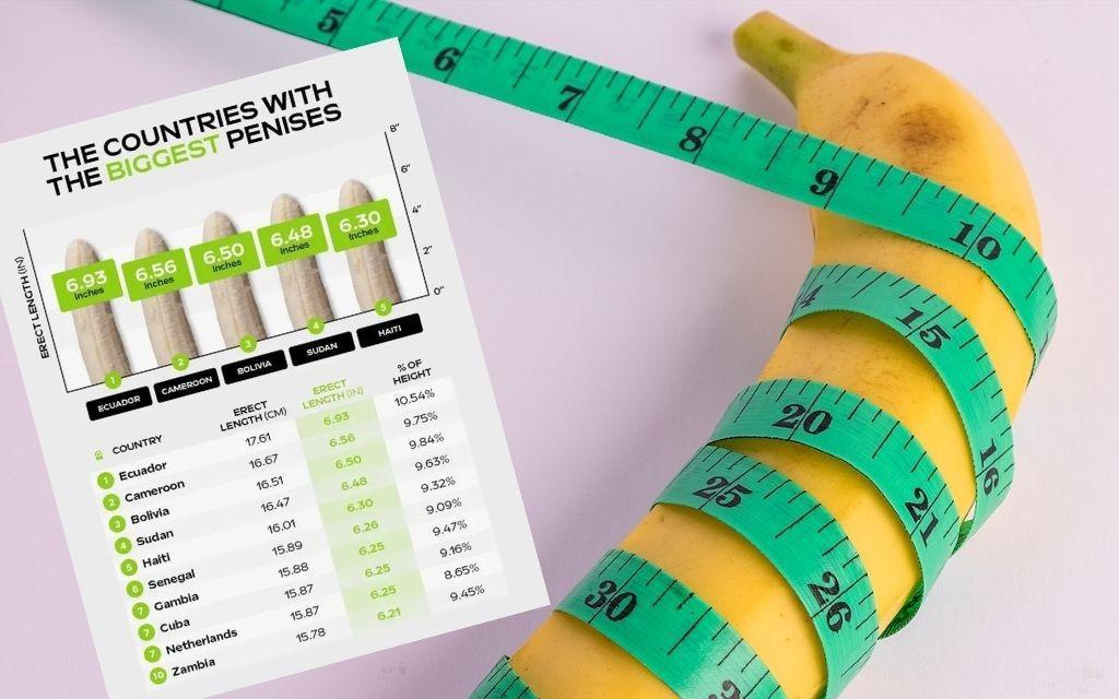 cách đo kích thước dương vật