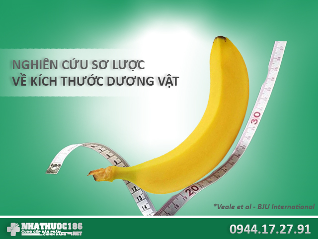 Nghiên cứu sơ lược về kích thước dương vật ở nam giới