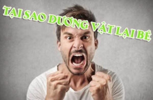 tại sao dương vật lại bé