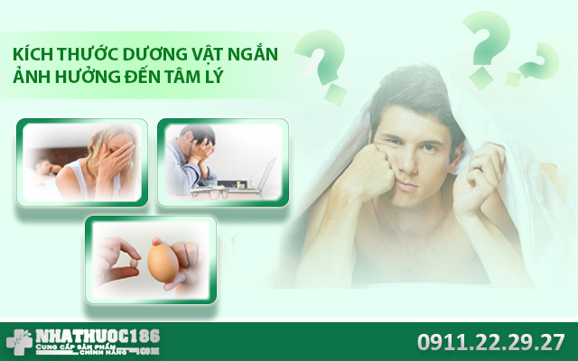 kích thước dương vật nhỏ