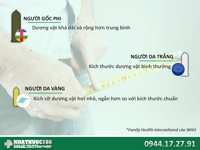 kích thước dương vật