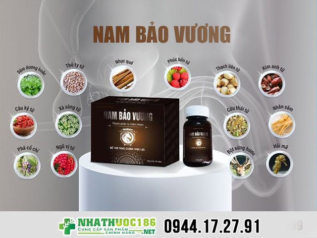 thành phần nam bảo vương