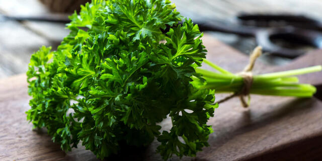 Sinh lý yếu ăn gì cho khỏe - Ngò tây