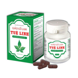 giảo cổ lam tuệ linh