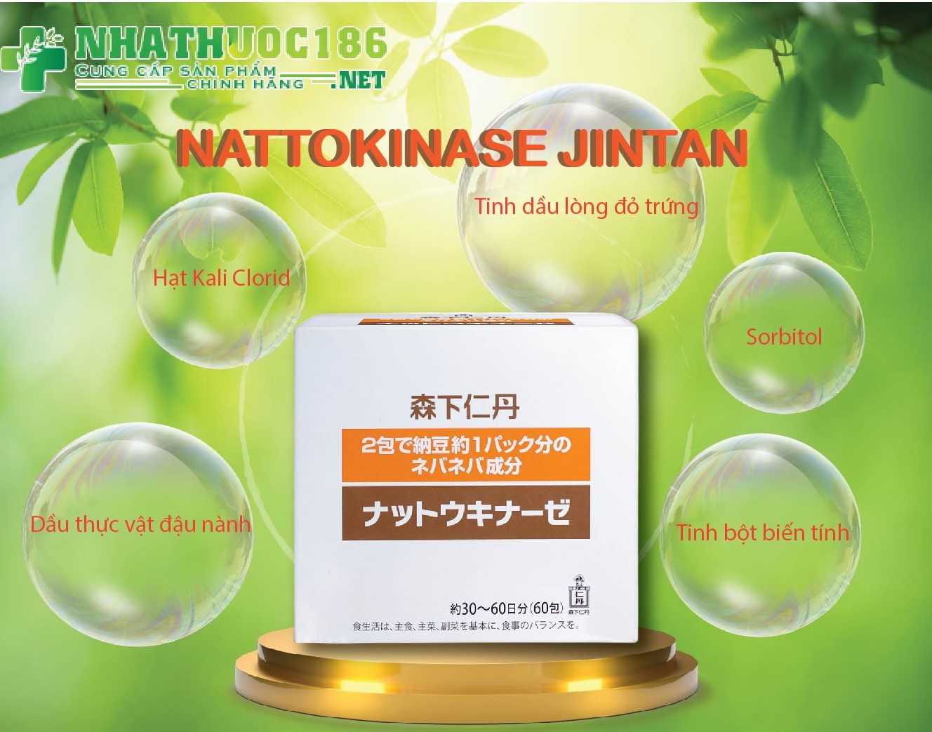 Thành phần Nattokinase Jintan