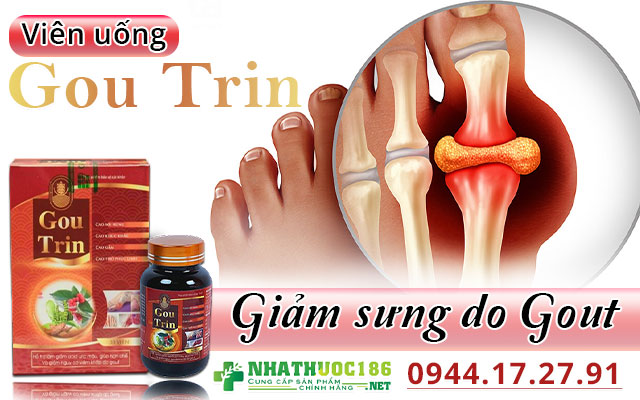 giới thiệu goutrin
