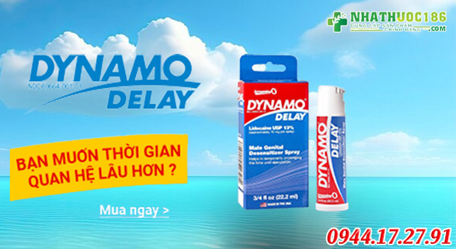 dynamo delay là gì