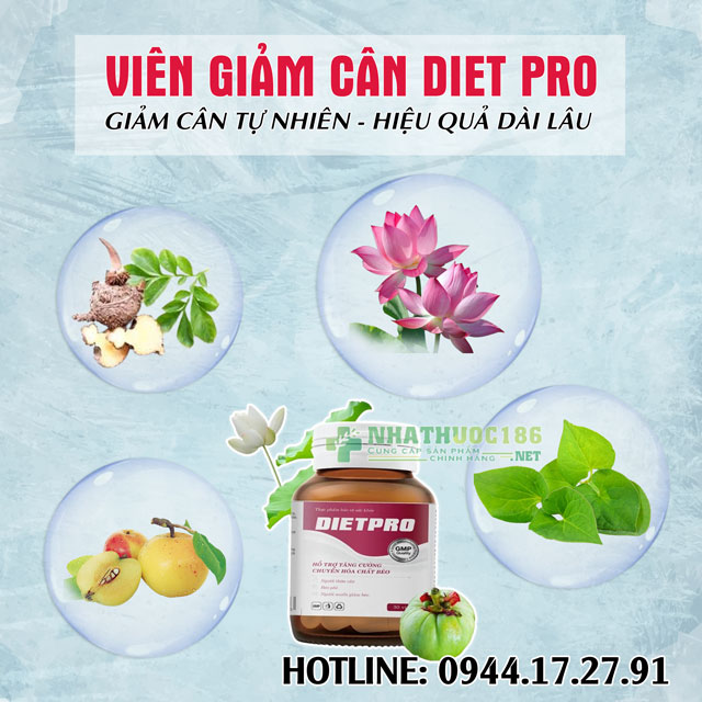 Thành Phần Có Trong Viên Uống Giảm Cân Diet Pro