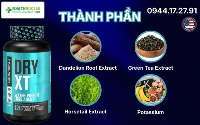 Phân tích bảng thành phần đột phá của Dry XT